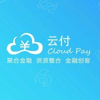 廣元云付金融咨詢(xún)有限公司